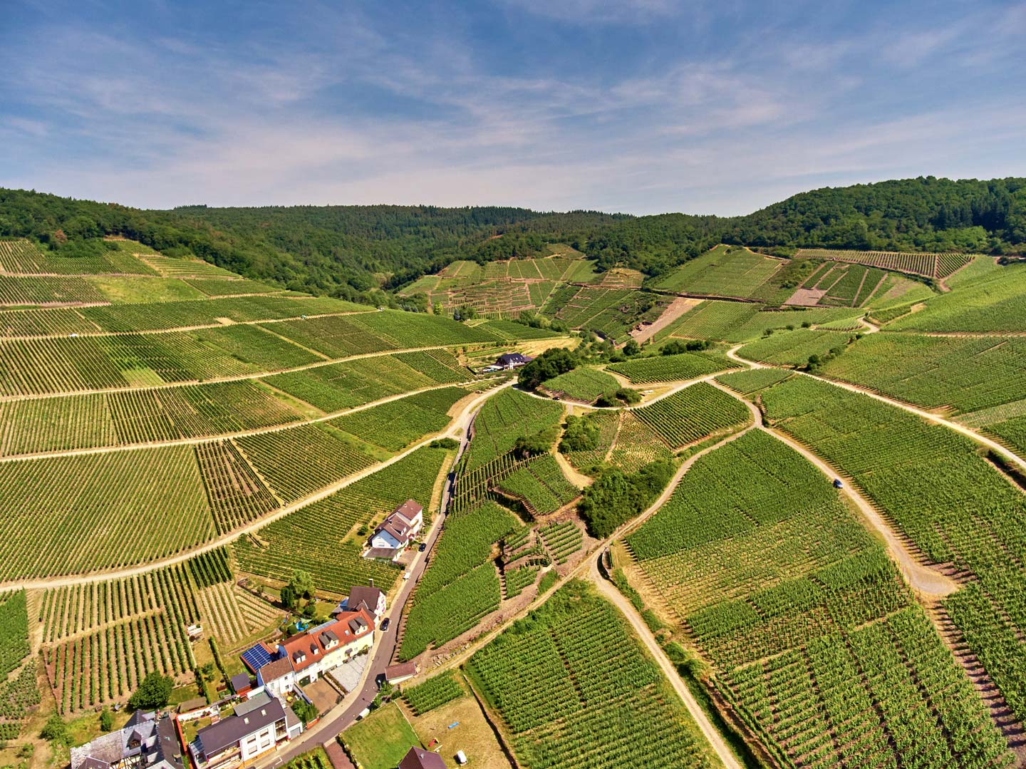 Lagen Weingut Deutzerhof Mayschoss Ahr Wein Online Shop VDP lagen-weingut-deutzerhof-mayschoss-ahr-wein-online-shop-vdp